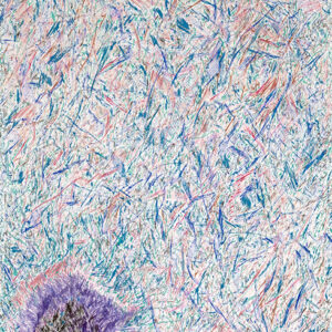 State of Joshua Untitled