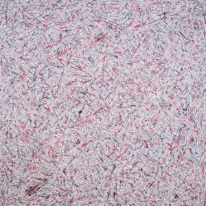 State of Joshua Untitled