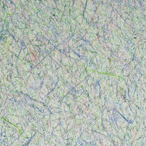 State of Joshua Untitled